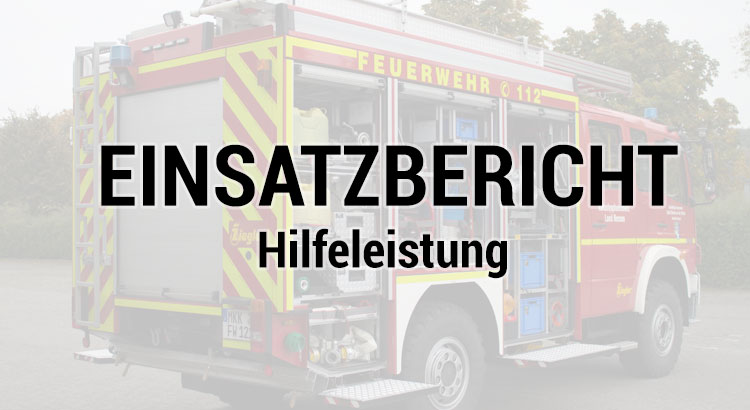 Feuerwehr Steinau Ulmbach Hilfeleistung